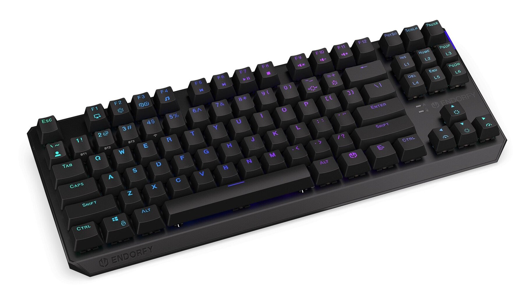 Endorfy Thock TKL RGB Kailh Red Switch hinta ja tiedot | Näppäimistöt | hobbyhall.fi