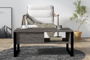 Asir-sohvapöytä, 100x60x44 cm, harmaa hinta ja tiedot | Sohvapöydät | hobbyhall.fi