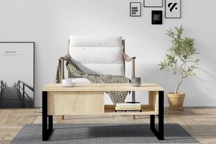 Asir-sohvapöytä, 100x60x44 cm, beige hinta ja tiedot | Sohvapöydät | hobbyhall.fi