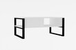 Asir-sohvapöytä, 100x60x44 cm, valkoinen hinta ja tiedot | Sohvapöydät | hobbyhall.fi