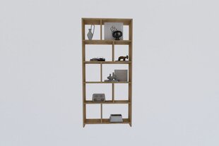 Asir-kirjahylly, 70x161,8x22 cm, beige hinta ja tiedot | Hyllyt | hobbyhall.fi