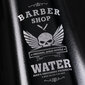 Barber Sprayer Pro, valkoinen hinta ja tiedot | Kylpyhuoneen sisustus | hobbyhall.fi