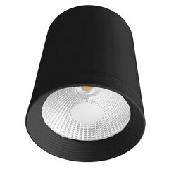 Kattovalaisin Light Prestige Zovo LED, musta hinta ja tiedot | Kattovalaisimet | hobbyhall.fi