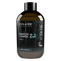 Suihkugeeli ja shampoo 2-in-1 Energy Ecolatier Urban, 600 ml hinta ja tiedot | Ecolatier Urban Hajuvedet ja kosmetiikka | hobbyhall.fi