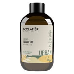Volyymia lisäävä shampoo ohuille hiuksille Ecolatier Urban, 600 ml hinta ja tiedot | Shampoot | hobbyhall.fi