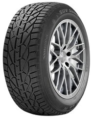 Riken SUV SNOW 255/55R18 109 V XL hinta ja tiedot | Talvirenkaat | hobbyhall.fi