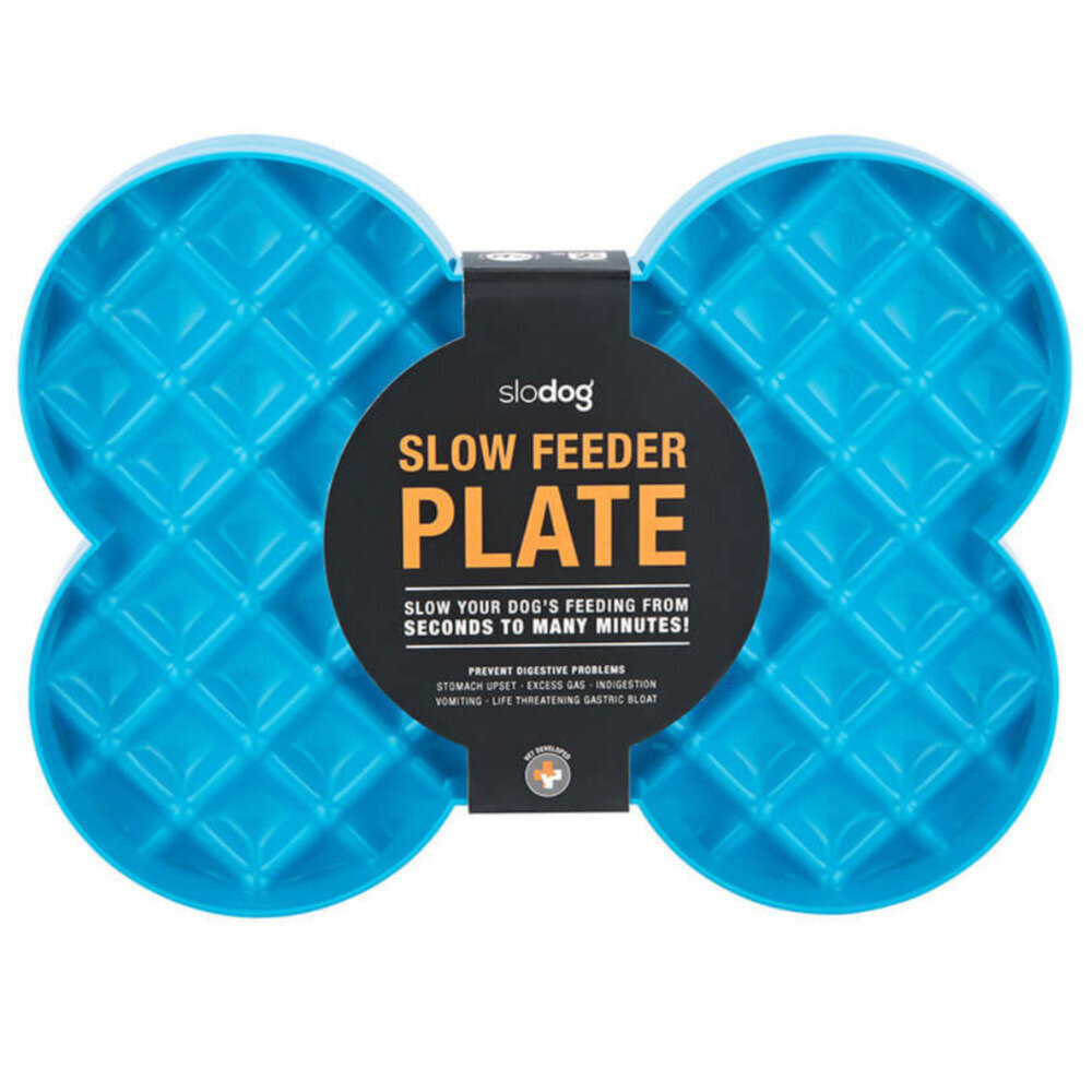 SloDog Slow Feeder Plate Suuri luukulho turkoosi hinta ja tiedot | Ruokakupit ja ruokintatarvikkeet | hobbyhall.fi