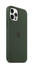 APPLE iPhone 12 PRO MAX SIL CASE GREEN hinta ja tiedot | Puhelimen kuoret ja kotelot | hobbyhall.fi