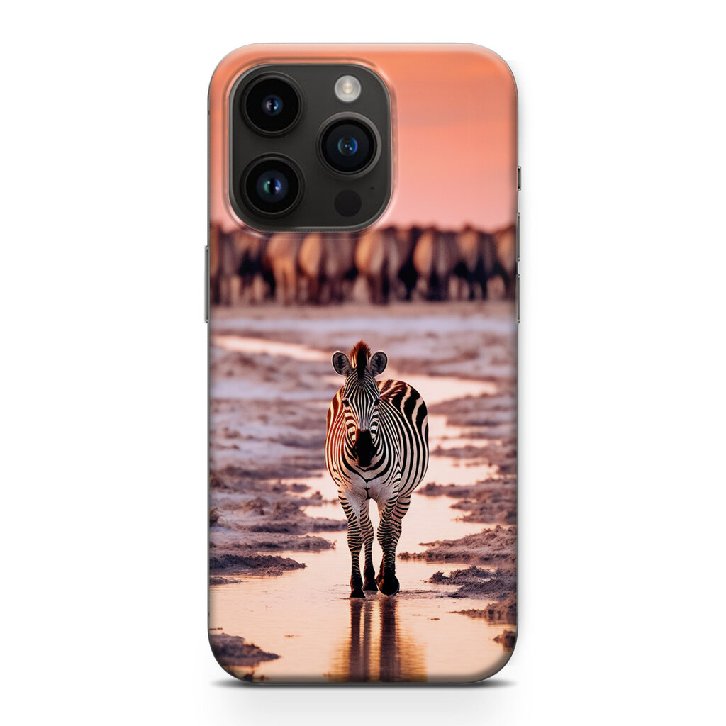 Alerio Print iPhone X hinta ja tiedot | Puhelimen kuoret ja kotelot | hobbyhall.fi