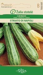 Kesäkurpitsa Striato di Napoli 2g hinta ja tiedot | Kasvisten siemenet | hobbyhall.fi