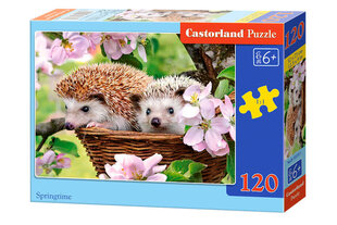 Castorland Springtime Puzzle, 120 palaa hinta ja tiedot | Palapelit | hobbyhall.fi