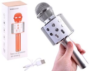 Langaton mikrofoni, hopea hinta ja tiedot | Kehittävät lelut | hobbyhall.fi