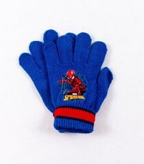 Lasten käsineet Spiderman 1802281 02, Sininen punainen 1802281*02-ONE hinta ja tiedot | Poikien hatut, huivit ja käsineet | hobbyhall.fi