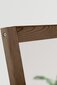 Ksir koristeellinen peili, 50x60 cm, ruskea hinta ja tiedot | Peilit | hobbyhall.fi