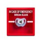 Taulu Break In Case of Emergency - tutti hinta ja tiedot | Muut hauskat lahjaideat | hobbyhall.fi