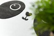 FLHF lasten matto Tinies Panda 140x140 cm hinta ja tiedot | Isot matot | hobbyhall.fi