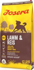 Josera Lamb&Rice erilaisille koirille, 12,5 kg hinta ja tiedot | Koiran kuivaruoka | hobbyhall.fi