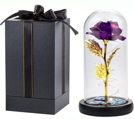 Ikuinen ruusu lasikupolissa LED-valoilla, Livman hinta ja tiedot | Muut hauskat lahjaideat | hobbyhall.fi