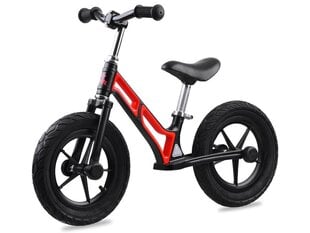 Lasten potkupyörä Tiny Bike 12 tuumaa, punainen hinta ja tiedot | TinyBike Lapset | hobbyhall.fi