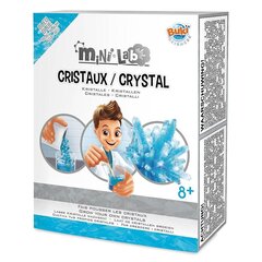 Mini Lab Crystal sininen hinta ja tiedot | Buki France Lapset | hobbyhall.fi