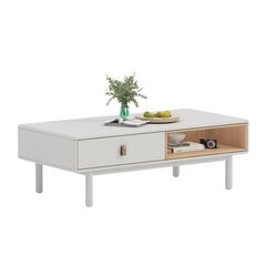 Sohvapöytä IRIS 120x60xH40cm, valkoinen hinta ja tiedot | Sohvapöydät | hobbyhall.fi