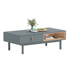 Sohvapöytä IRIS 120x60xH40cm, harmaa hinta ja tiedot | Sohvapöydät | hobbyhall.fi