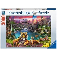 Ravensburger Puzzle 3000 kpl Tiikeri paratiisilaguunissa hinta ja tiedot | Palapelit | hobbyhall.fi