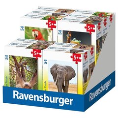 Ravensburger minipulma 54 kpl Eksoottisia eläimiä hinta ja tiedot | Ravensburegr Lapset | hobbyhall.fi