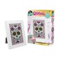 Buk Sparkling Image Skull hinta ja tiedot | Timanttimaalaukset | hobbyhall.fi