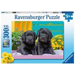 Ravensburger palapeli 300 kpl Pennut hinta ja tiedot | Palapelit | hobbyhall.fi