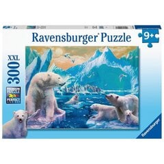 Ravensburger palapeli 300 kpl Jääkarhu hinta ja tiedot | Palapelit | hobbyhall.fi