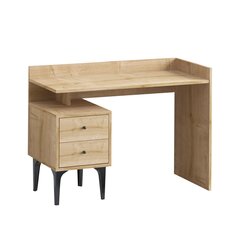 Työpöytä, Asir, 100x80x45 cm, ruskea hinta ja tiedot | Tietokonepöydät ja työpöydät | hobbyhall.fi