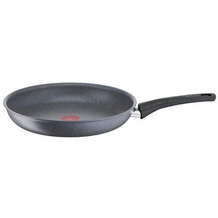 Tefal Healthy Chef paistinpannu, 28 cm hinta ja tiedot | Paistinpannut | hobbyhall.fi