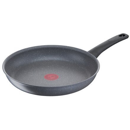 Tefal Healthy Chef paistinpannu, 28 cm hinta ja tiedot | Paistinpannut | hobbyhall.fi