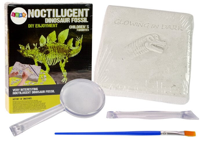 Arkeologinen kaivaus Stegosaurus hinta ja tiedot | Kehittävät lelut | hobbyhall.fi
