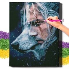 Diamond Mosaic 5D Diamond Painting Oh Art! Witcher, 40x50 cm hinta ja tiedot | Timanttimaalaukset | hobbyhall.fi