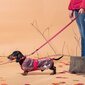 Sadetakki koirille Minnie Mouse, M, punainen hinta ja tiedot | Koiran vaatteet | hobbyhall.fi