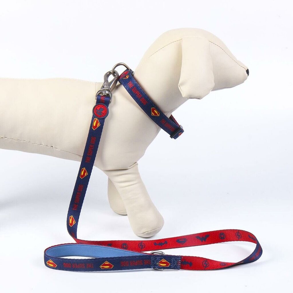 Talutushihna koirille DC Pets, eri kokoja, sininen hinta ja tiedot | Koiran valjaat ja kaulapannat | hobbyhall.fi