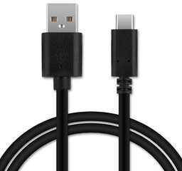 Ricoh-kaapeli I-USB173 (30275) hinta ja tiedot | Kaapelit ja adapterit | hobbyhall.fi