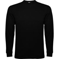 Roly T-paita Pointer, musta hinta ja tiedot | Miesten T-paidat | hobbyhall.fi