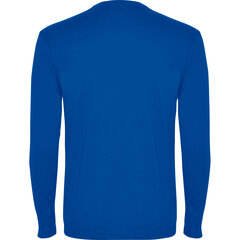 Roly T-paita Pointer, sininen hinta ja tiedot | Miesten T-paidat | hobbyhall.fi