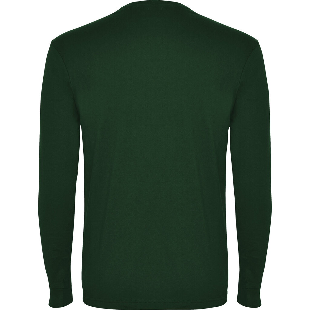 Roly T-paita POINTER vihreä hinta ja tiedot | Miesten T-paidat | hobbyhall.fi
