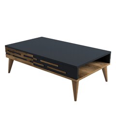Kahvipöytä, Asir, 105x60x34,6 cm, ruskea/harmaa hinta ja tiedot | Sohvapöydät | hobbyhall.fi