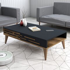 Kahvipöytä, Asir, 105x60x34,6 cm, ruskea/harmaa hinta ja tiedot | Sohvapöydät | hobbyhall.fi