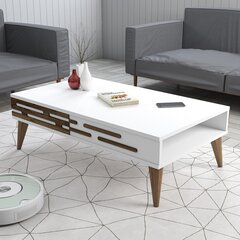 Kahvipöytä, Asir, 105x60x34,6 cm, valkoinen hinta ja tiedot | Sohvapöydät | hobbyhall.fi