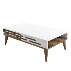 Kahvipöytä, Asir, 105x60x34,6 cm, valkoinen hinta ja tiedot | Sohvapöydät | hobbyhall.fi