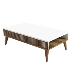 Kahvipöytä, Asir, 105x34,6x60 cm, ruskea/valkoinen hinta ja tiedot | Sohvapöydät | hobbyhall.fi