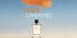 Tuoksu Hermes Terre d'Hermes EDT miehille 30 ml hinta ja tiedot | Miesten hajuvedet | hobbyhall.fi