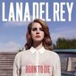 Lana Del Rey - Born To Die, 2LP, vinyylilevy, 12" vinyylilevy hinta ja tiedot | Vinyylilevyt, CD-levyt, DVD-levyt | hobbyhall.fi