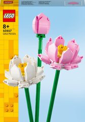 40647 LEGO® Iconic Lootuskukat hinta ja tiedot | LEGOT ja rakennuslelut | hobbyhall.fi